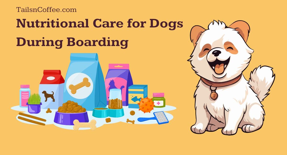 Nutritional Care for Dogs During Boarding: Ensuring a Healthy and Happy Stay