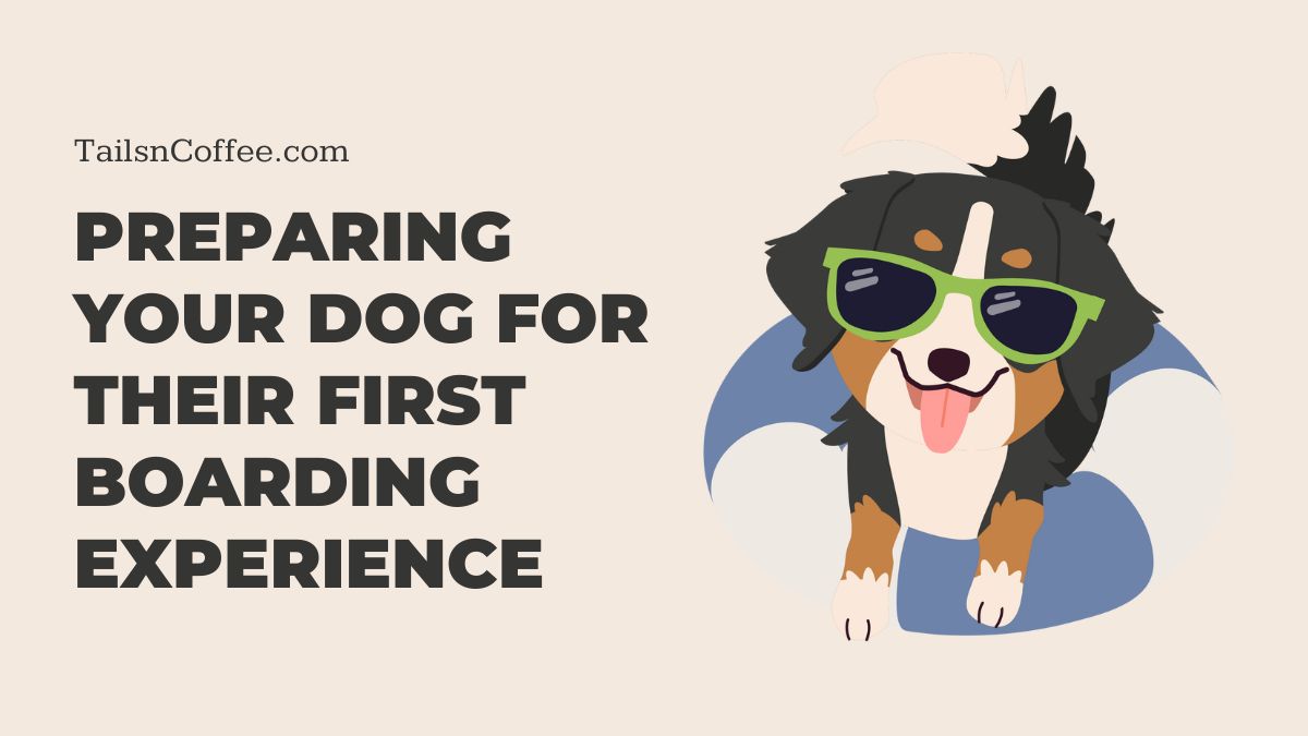 Preparing Your Dog for Their First Boarding Experience