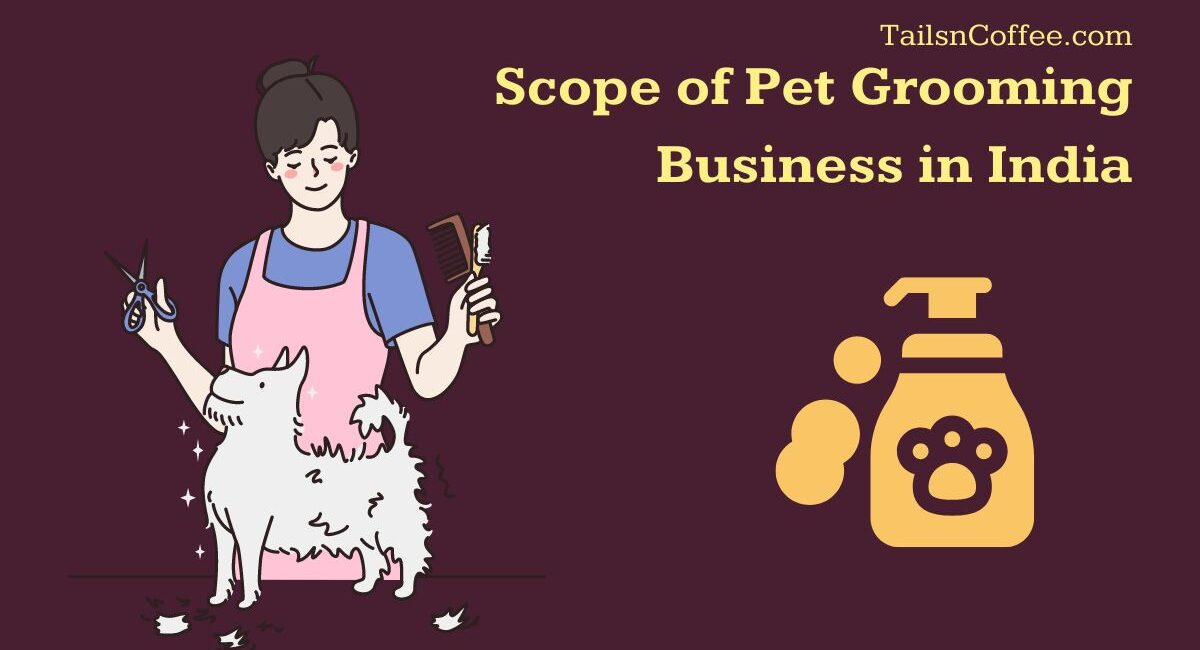 Scope of Pet Grooming Business in India