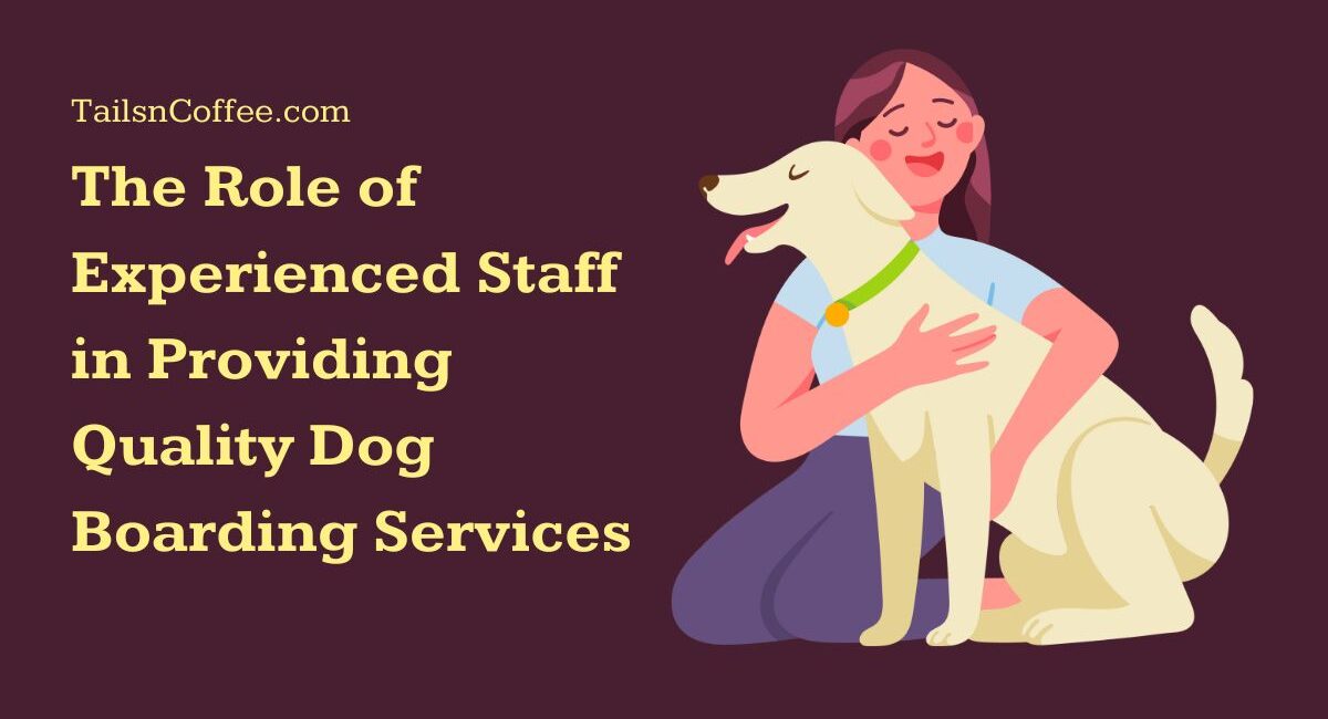 The Role of Experienced Staff in Providing Quality Dog Boarding Services