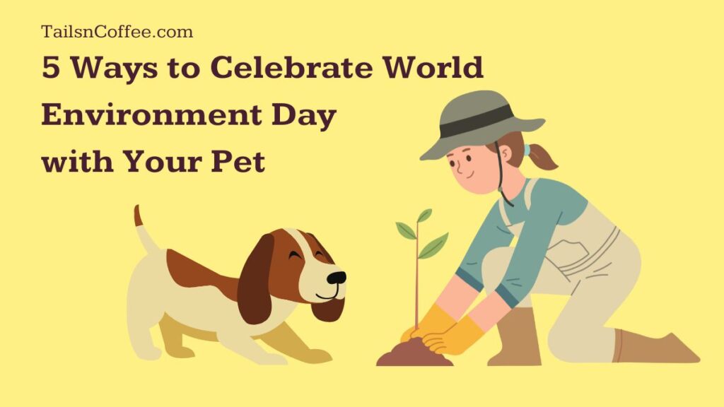 5 Ways to Celebrate World Environment Day with Your Pet
