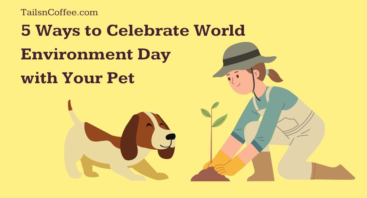 5 Ways to Celebrate World Environment Day With Your Pet