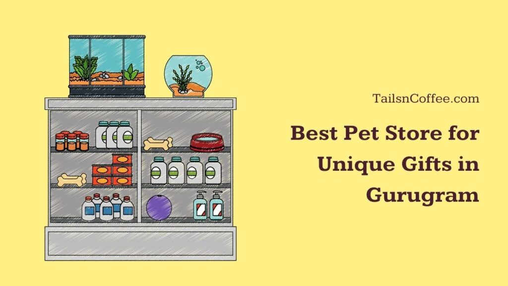 Best Pet Store for Unique Gifts in Gurugram
