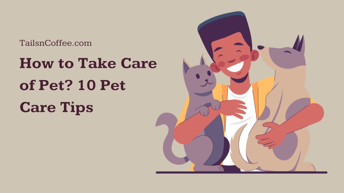 How to Take Care of Pet? 10 Pet Care Tips