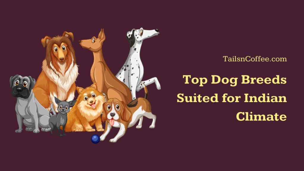Top Dog Breeds Suited for Indian Climate