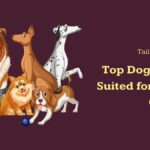 Top 10 Dog Breeds Suited for Indian Climate in 2024