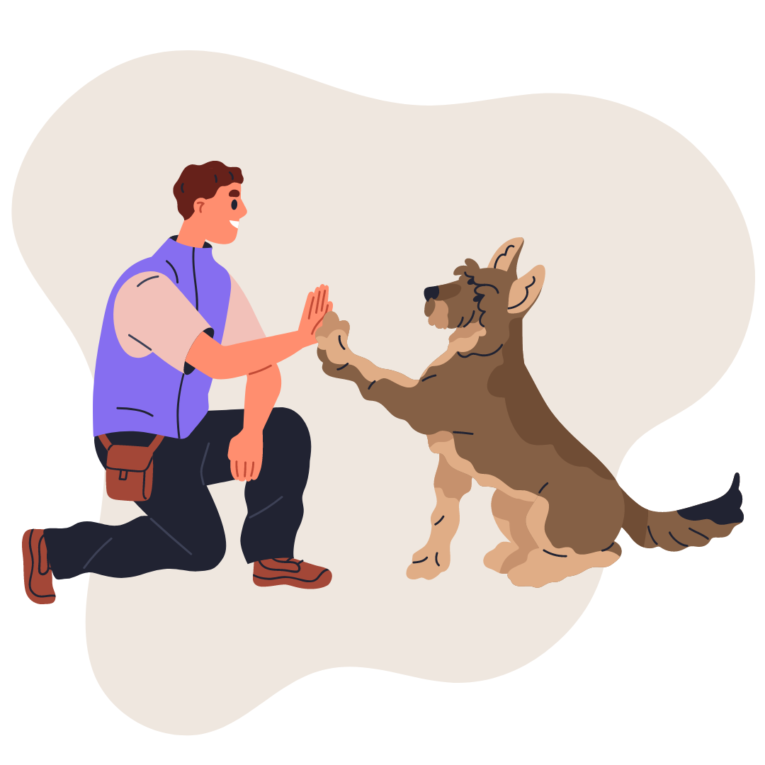 Dog Training