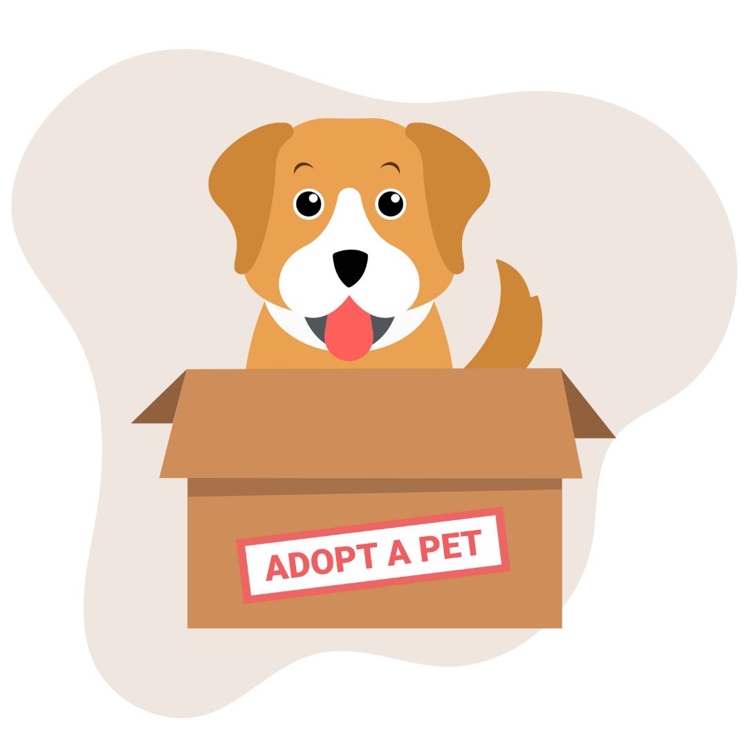 Pet Adoption