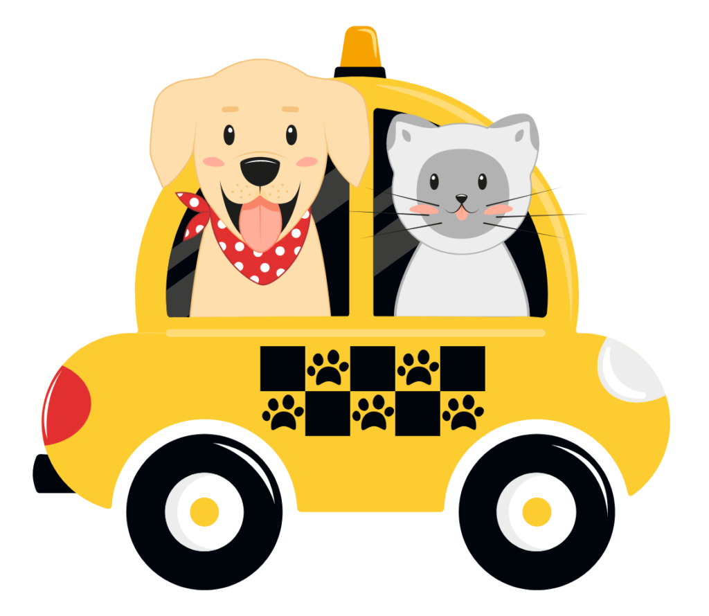 Pet Taxi Service in Gurgaon