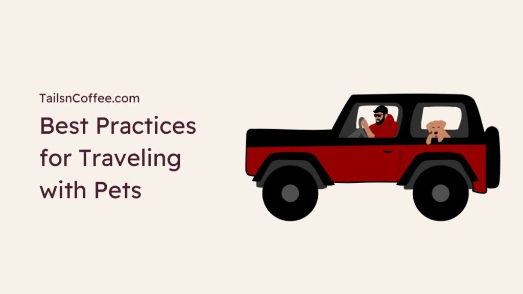 Best Practices for Traveling with Pets_ What You Need to Know