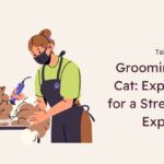 Grooming Your Cat: Expert Tips for a Stress-Free Experience