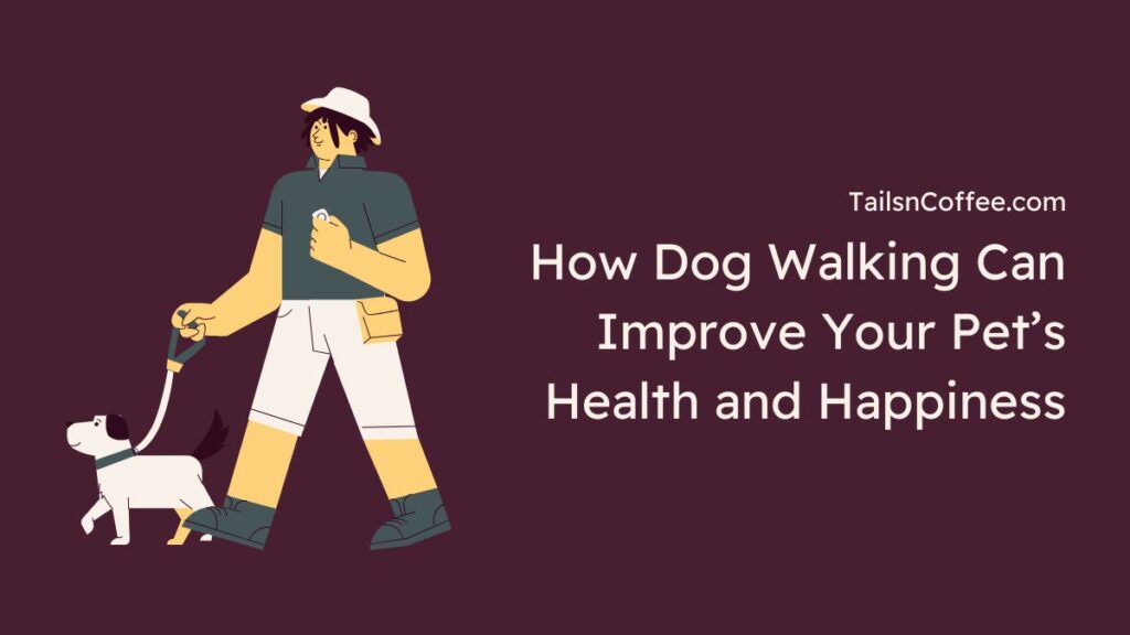 How Dog Walking Can Improve Your Pet’s Health and Happiness