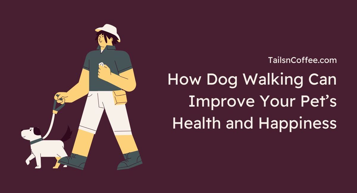 How Dog Walking Can Improve Your Pet’s Health and Happiness