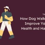 How Dog Walking Can Improve Your Pet's Health and Happiness