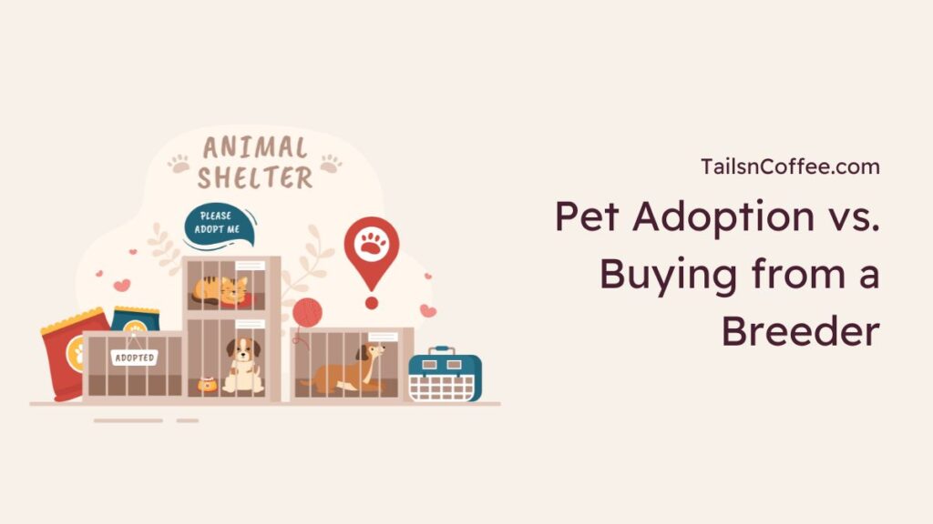 Pet Adoption vs. Buying from a Breeder