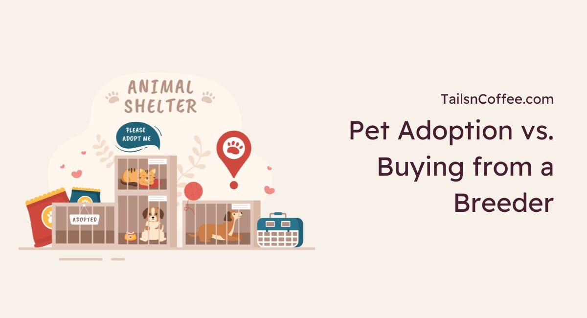 Pet Adoption vs. Buying from a Breeder