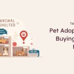 Pet Adoption vs. Buying from a Breeder