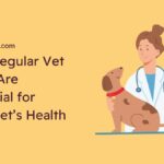 Why Regular Vet Visits Are Essential for Your Pet's Health